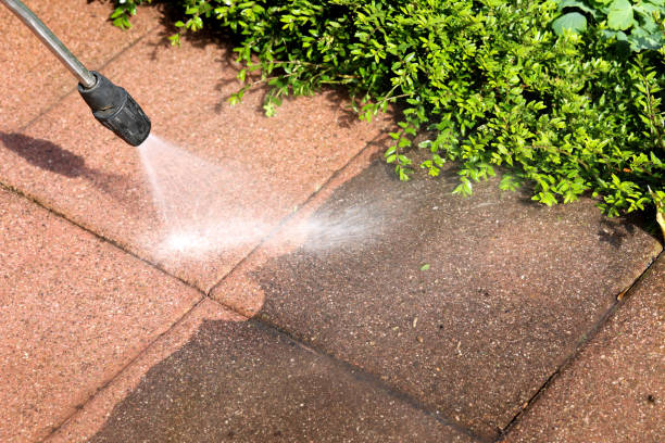 Best Residential Pressure Washing Services  in Medulla, FL